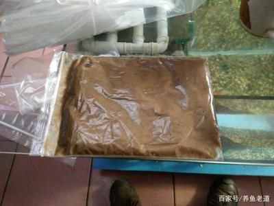 冷凍魚食快速處理方法：冷凍魚食快速解凍的科學(xué)原理， 其他寵物 第4張