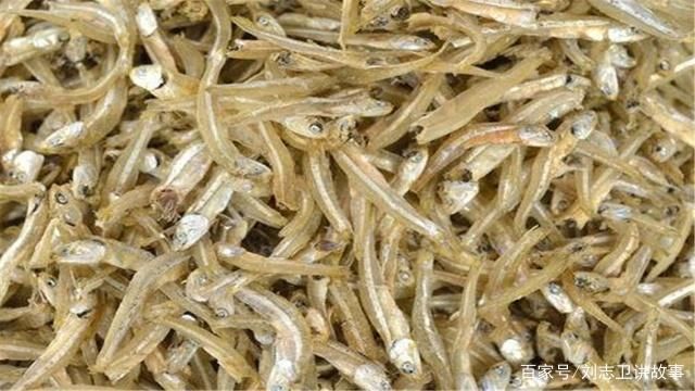 銀魚苗孵化技術要點解析：銀魚苗孵化技術要點 其他寵物 第3張