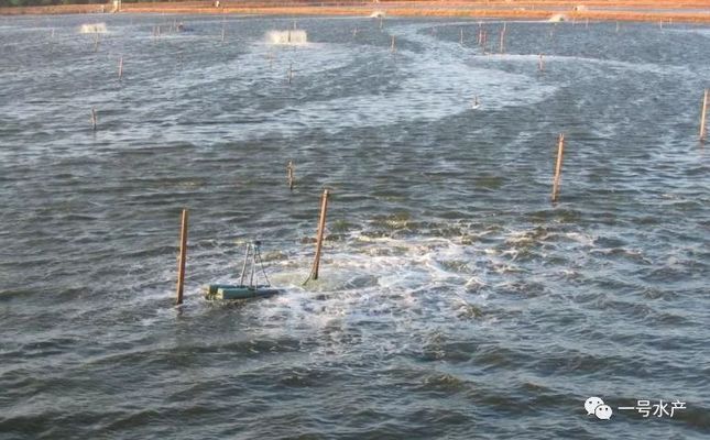 溶解氧不足對魚苗免疫的影響：溶解氧不足對魚苗免疫的具體影響 其他寵物 第1張