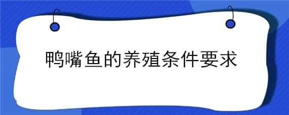 鴨嘴魚(yú)苗飼料選擇指南：鴨嘴魚(yú)苗飼料營(yíng)養(yǎng)配比標(biāo)準(zhǔn) 其他寵物 第5張