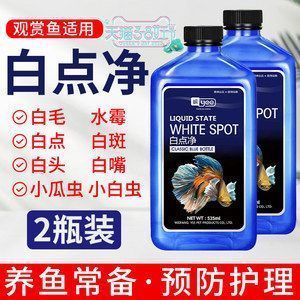 象鼻魚白點病治療方法：象鼻魚白點病如何治療 其他寵物 第2張