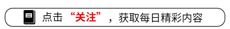 象鼻魚飼養(yǎng)密度控制：關(guān)于象鼻魚的飼養(yǎng)密度的一些指導(dǎo) 其他寵物 第4張