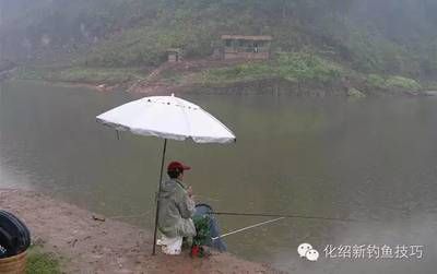 夏季魚池降溫技巧：夏季有效的魚池降溫技巧 其他寵物 第5張