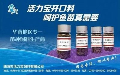 魚苗飼料添加劑的種類有哪些？：魚苗飼料添加劑的使用指南 其他寵物 第3張