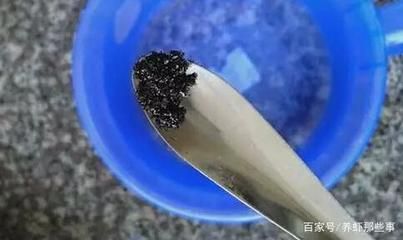 高錳酸鉀對(duì)魚的影響研究：高錳酸鉀對(duì)魚生長和健康的影響 其他寵物 第1張