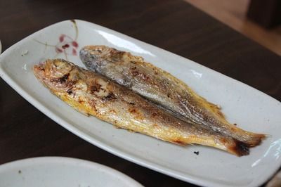 朱巴利魚苗最佳飼料選擇：關(guān)于朱巴利魚苗的最佳飼料選擇沒有直接相關(guān)的答案 其他寵物 第4張