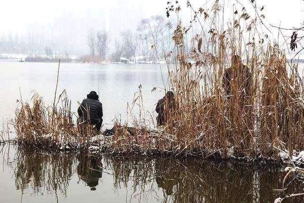 如何提高雪鯽魚繁殖成功率：提高雪鯽魚繁殖成功率的環(huán)境布置，雪鯽魚繁殖后幼魚培育要點(diǎn) 其他寵物 第3張