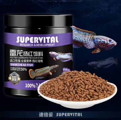 龍魚玩家最佳龍缸尺寸是多少：龍魚玩家最佳龍缸尺寸 水族問答 第1張