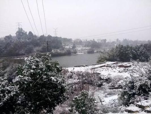 雪鯽魚繁殖水溫波動(dòng)影響：雪鯽魚繁殖水溫波動(dòng)對(duì)魚類繁殖有影響嗎，鯽魚繁殖期如何控溫 其他寵物 第4張