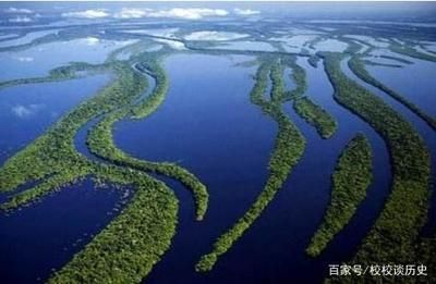 亞馬遜河魚類遷徙模式探究：亞馬遜河魚類遷徙對(duì)生態(tài)影響 其他寵物 第6張