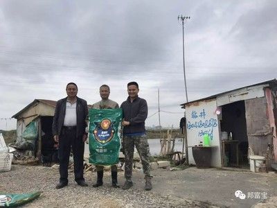 乳酸菌在魚苗飼料中的添加量：乳酸菌在魚苗飼料中的添加量通常為0.5-2% 其他寵物 第4張