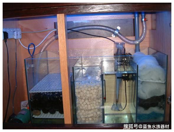 水族箱過濾棉清洗頻率：水族箱過濾棉的清洗頻率應(yīng)該如何確定？ 其他寵物 第4張