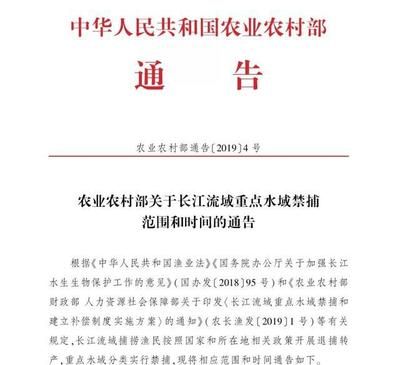 長江十年禁漁計劃的具體內(nèi)容：長江十年禁漁計劃對漁民生活的影響 其他寵物 第5張