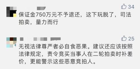 司法拍賣的競(jìng)拍保證金規(guī)定：司法拍賣保證金繳納注意事項(xiàng)司法拍賣保證金繳納注意事項(xiàng) 其他寵物 第2張