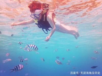 黑影道人魚最佳伴侶魚：黑影道人魚與一眉道人魚混養(yǎng)注意事項黑影道人魚混養(yǎng)注意事項 其他寵物 第4張