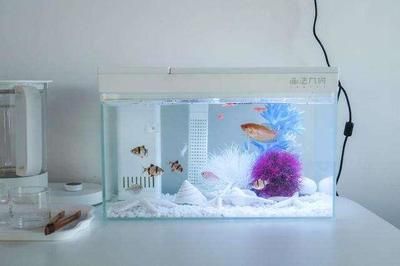 魚飼料防潮小妙招：魚飼料如何防潮 其他寵物 第3張