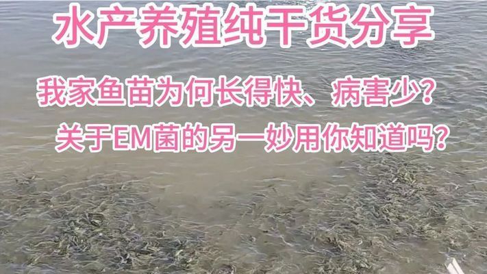 魚苗生長速度監(jiān)控技巧：如何監(jiān)控魚苗的生長速度 其他寵物 第3張