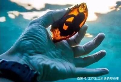 鯊魚卵保護機制研究：人造子宮裝置的工作原理 其他寵物 第4張