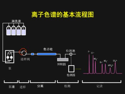 離子色譜法與其他方法比較：離子色譜法與其他分析方法的優(yōu)缺點(diǎn) 其他寵物 第2張