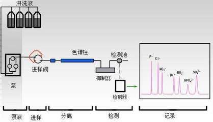 離子色譜法與其他方法比較：離子色譜法與其他分析方法的優(yōu)缺點(diǎn) 其他寵物 第5張