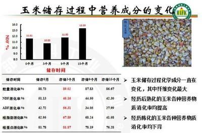 眼斑鯛繁殖飼料蛋白質(zhì)來源：眼斑鯛繁殖期營養(yǎng)需求，眼斑鯛飼料質(zhì)量控制方法 其他寵物 第4張