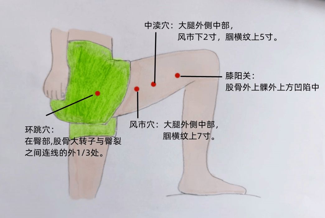 橫紋飛鳳魚(yú)苗合理飲食指南：橫紋飛鳳魚(yú)苗飼料品牌推薦飛鳳魚(yú)苗活餌投喂技巧 其他寵物 第4張