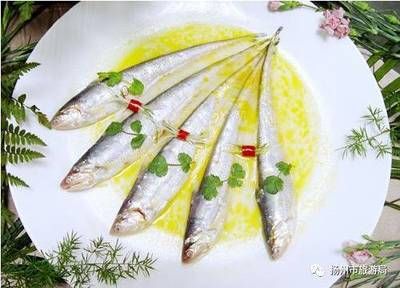 清蒸刀魚的烹飪技巧：清蒸刀魚的做法 其他寵物 第3張