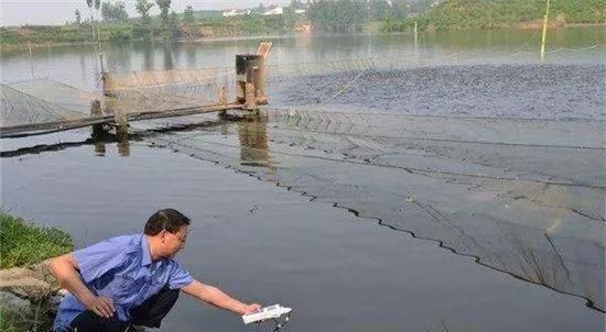 如何預(yù)防魚(yú)苗氨氮超標(biāo)：預(yù)防魚(yú)苗氨氮超標(biāo)