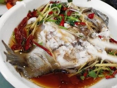 招財(cái)貓魚日常飲食搭配：如何判斷招財(cái)貓魚飽腹感，招財(cái)貓魚喂食頻率及量控制 其他寵物 第6張