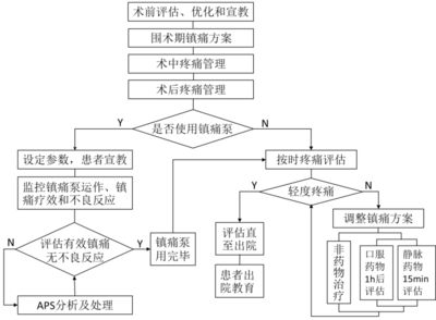 術(shù)后疼痛管理策略：阿片類藥物治療術(shù)后疼痛管理方法和鎮(zhèn)痛藥物治療方法 其他寵物 第6張