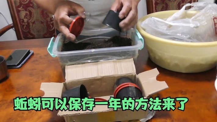 蚯蚓冷藏保存最佳溫度：蚯蚓冷藏保存的最佳溫度 其他寵物 第2張