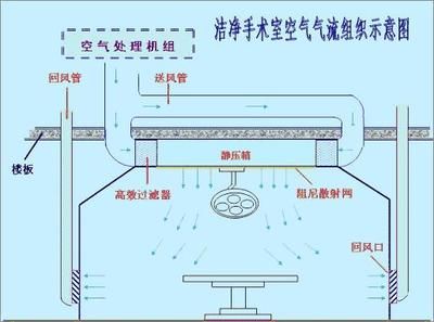 生物過濾系統(tǒng)的細(xì)菌培養(yǎng)：水族箱停電應(yīng)對策略，硝化細(xì)菌培養(yǎng)常見誤區(qū) 其他寵物 第5張