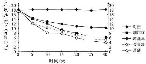 水生植物對(duì)富營養(yǎng)化的控制效果：水生植物在富營養(yǎng)化控制中的作用 其他寵物 第3張