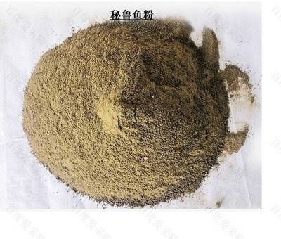 玉鯖魚飼料品牌推薦：玉鯖魚專用飼料配方 其他寵物 第2張