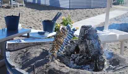 銀古魚苗飼料營養(yǎng)成分對比：銀魚苗在不同生長階段的營養(yǎng)成分需求和飼料選擇 其他寵物 第4張