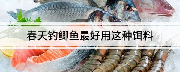 夏季素食魚餌推薦：夏季素食魚餌制作方法 其他寵物 第5張