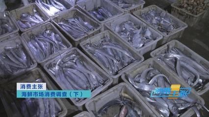 漁場直供海鮮的市場價(jià)格對比：海鮮市場價(jià)格波動因素 其他寵物 第2張