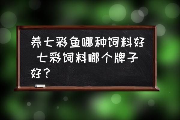 野彩魚飼料選擇與搭配：如何為野彩魚選擇和搭配出合適的飼料，野彩魚飼料品牌推薦 其他寵物 第5張