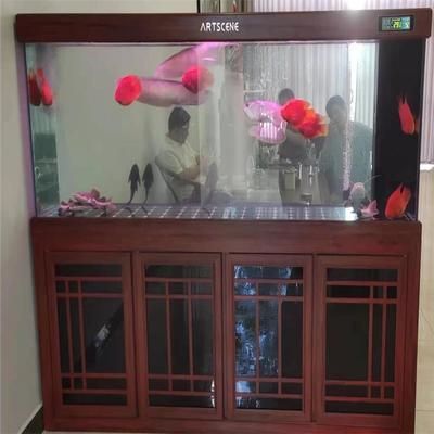 水族箱光照強度如何測量？：水族箱光照強度的測量 其他寵物 第6張