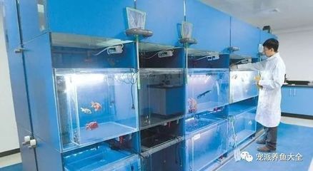 水族箱光照強度如何測量？：水族箱光照強度的測量 其他寵物 第5張