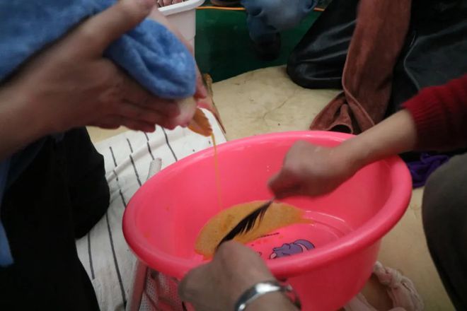 魚(yú)苗飼料安全檢測(cè)方法：魚(yú)苗飼料安全檢測(cè)方法包括物理和化學(xué)檢測(cè)如顏色、氣味等 其他寵物 第5張