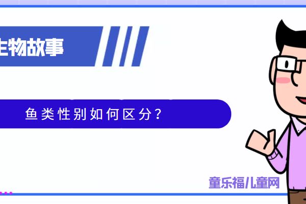 如何判斷雙線(xiàn)側(cè)魚(yú)性別：雙線(xiàn)側(cè)魚(yú)性別判斷方法