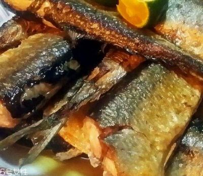 刀魚的食用禁忌有哪些？：刀魚與秋刀魚的區(qū)別，孕婦飲食安全指南 其他寵物 第2張