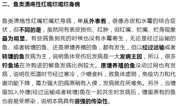 紅頭利魚爛鰓病的早期診斷：紅頭利魚爛鰓病的早期診斷可以通過觀察魚的行為和外觀變化來進(jìn)行 其他寵物 第5張