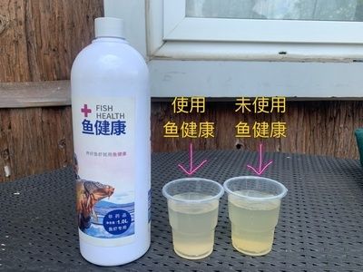 羅非魚繁殖池水質管理要點：羅非魚繁殖池底質改良方法羅非魚繁殖池底質改良方法