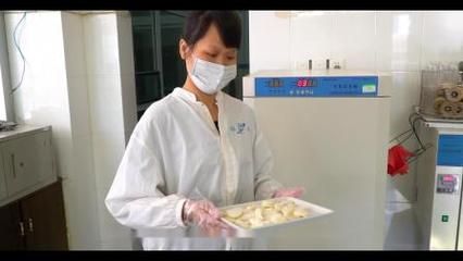 福龍冷凍食品的國際合作伙伴：福龍冷凍食品合作伙伴名單 其他寵物 第4張