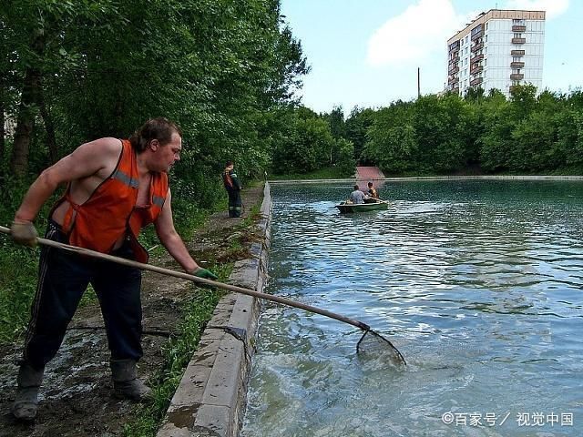 光照條件對魚卵發(fā)育的作用機(jī)制：光照對魚卵的發(fā)育有什么影響？ 其他寵物 第3張