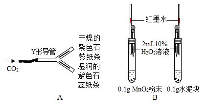 溶解氧不足對(duì)魚(yú)苗免疫影響：溶解氧不足對(duì)魚(yú)苗免疫力的影響 其他寵物 第5張