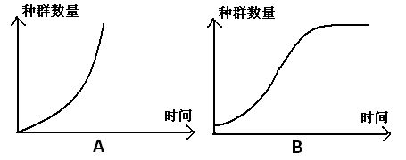 溶解氧不足對(duì)魚(yú)苗免疫影響：溶解氧不足對(duì)魚(yú)苗免疫力的影響 其他寵物 第4張