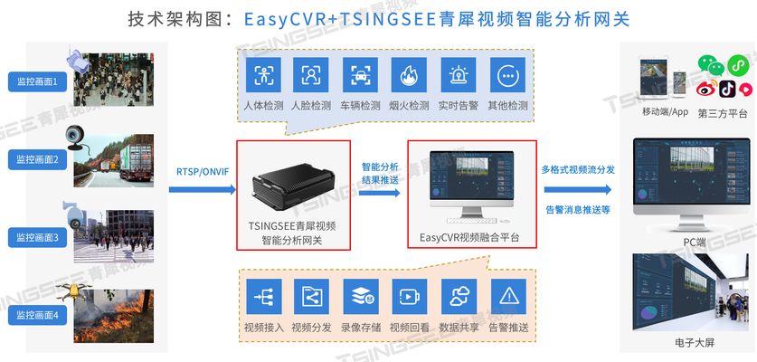 銀魚苗行業(yè)AI應(yīng)用案例：深入探討銀魚苗行業(yè)ai應(yīng)用的成功案例 其他寵物 第2張